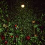 Mur végétal pour votre patio