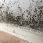 Traiter mur humide Haguenau