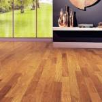 Choisir le bois et son parquet à Taverny 95