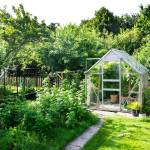 Aménager une serre de jardin 