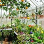 installer une serre de jardin 