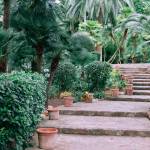 Créer une oasis dans son jardin 