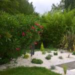 Aménagement de jardin minéral - Nantes 44