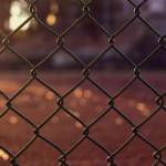 clôture extérieure en grillage souple