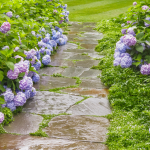 Aménager une allée de jardin Etampes