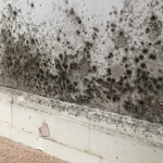 Traitement mur humide Strasbourg - Rénovation intérieure