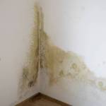Humidité