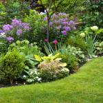 massifs fleurs jardin