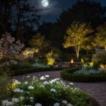 Jardin nocturne Noisy-le-Grand