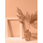 Tendances déco 2024 Haguenau