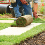 aménagement d'allée