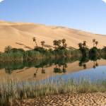 Créer une oasis dans son jardin - Saint-Aubin-des-Préaux 50380