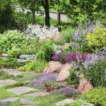 Jardin minéral avec massifs et arbustes