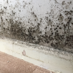 Traiter mur humide Haguenau