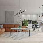 Différentes idées pour un salon salle à manger 