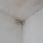 Moisissures chambre traitement Beaune