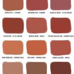 Palette des teintes Terracotta