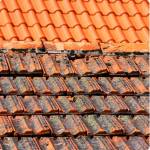 Rénovation partielle d'une toiture : préserver l’étanchéité et la durabilité - Marchésieux 50190