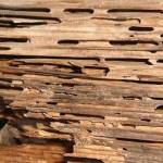 État de la charpente 