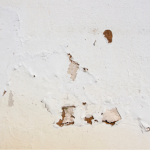 remontées capillaires la rochelle maison