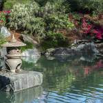 composer et aménager un jardin zen