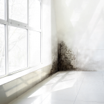 Traiter mur humide Libourne