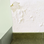 Cloques suite à un dégât des eaux