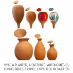 différentes Oyas