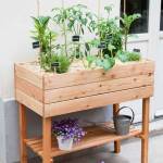 Aménagement d'un potager sur sa terrasse ou son balcon