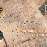 Votre maison parait saine, mais l'est-elle vraiment? lmdt chartres