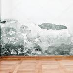 Moisissure des murs d'une maison