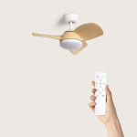 Ventilateur de plafond moderne et pratique