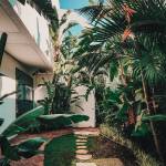 Aménagement de jardin, plantations et séparations