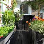 Comment aménager un jardin d’hiver ? Ile de France (75)