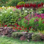 Rénovation de jardin avec plantations de fleurs et maçonnerie paysagère - Rochefort 17