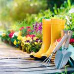 Rénover son jardin avant l'été.