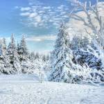 Les plinthes chauffantes : une solution efficace et discrète pour chauffer sa maison - Tour-en-Bessin 14400