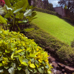 Aménager jardin en pente Haguenau