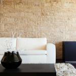 Un mur de salon en pierre près de Tours.