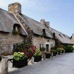 Aménagez votre jardin pour en profiter toute l’année