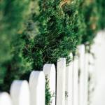 Rénovez votre clôture