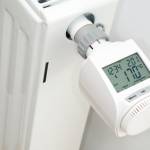 Chaudière biomasse : tout savoir sur ce type de chauffage