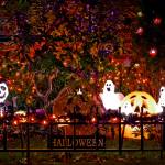 Décoration jardin de maison pour Halloween