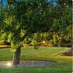 Comment créer des zones d’ombre efficaces dans un jardin ? Campagnolles 14500