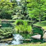 oasis jardin savoie