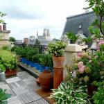 Création d'un toit terrasse à Blois