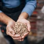 Chaudière à pellets : avantages et inconvénients