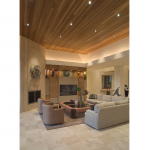 Salon avec un faux plafond en bois Lyon