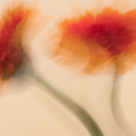 C'est le printemps, pensez à vos travaux 