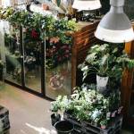 Intérieur de serre de jardin 